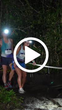 BIB:  <button type="button" onclick="openModal(27709250)" class="btn btn-primary btn-sm float-right" data-toggle="modal" data-target=".modal-high-quality">
                <i class="fa fa-download"></i> Download
                </button>